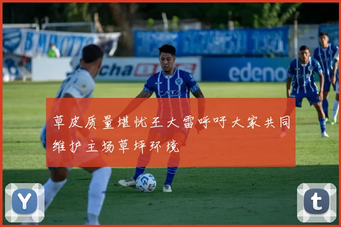 草皮质量堪忧王大雷呼吁大家共同维护主场草坪环境