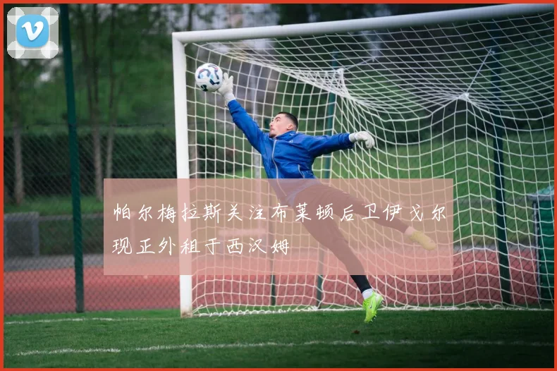 帕尔梅拉斯关注布莱顿后卫伊戈尔现正外租于西汉姆