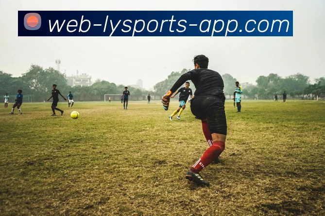 乐鱼体育平台生态图